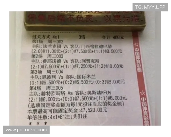中国足彩网竞彩官网比分查询指南，提供详细操作步骤与比赛数据分析服务